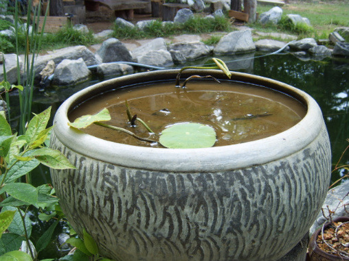 수반샘 이미지