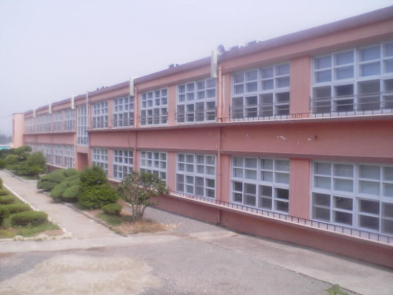 고성초등학교 이미지