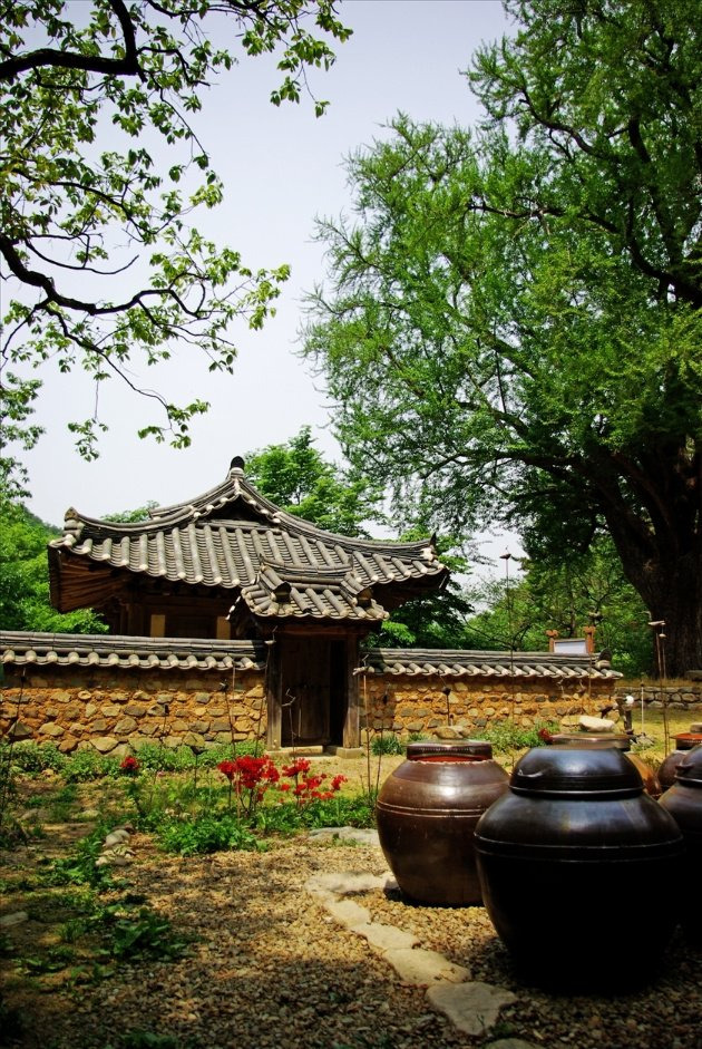 향정원 이미지