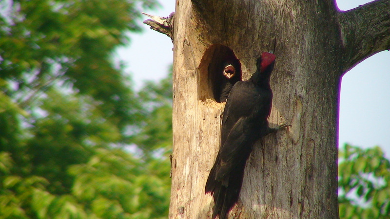 �̹����� Ŭ���ϸ� ������ ���� �� �ֽ��ϴ�.