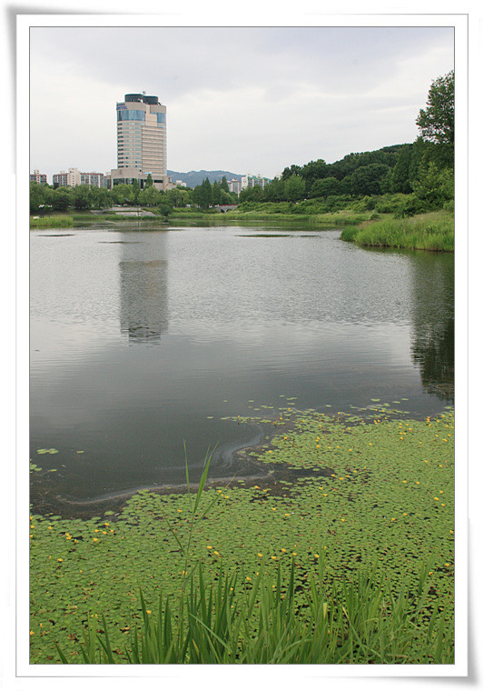 풍경좋다 이미지