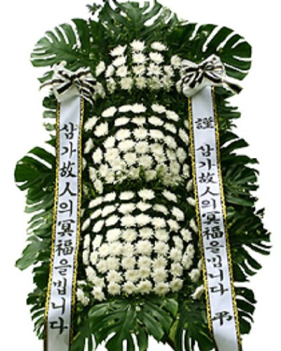쉘브르 이미지
