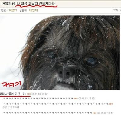 맥 이미지