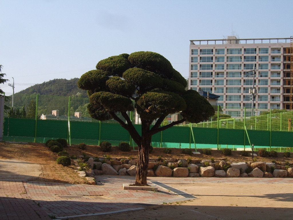 문경여자고등학교 이미지