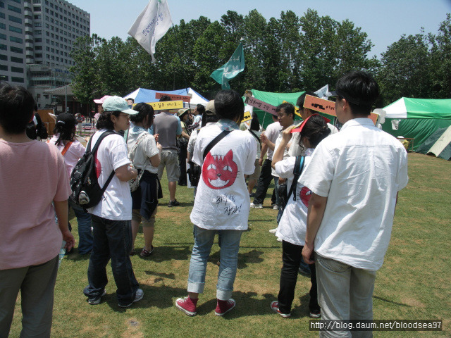 브레인스카우트 이미지