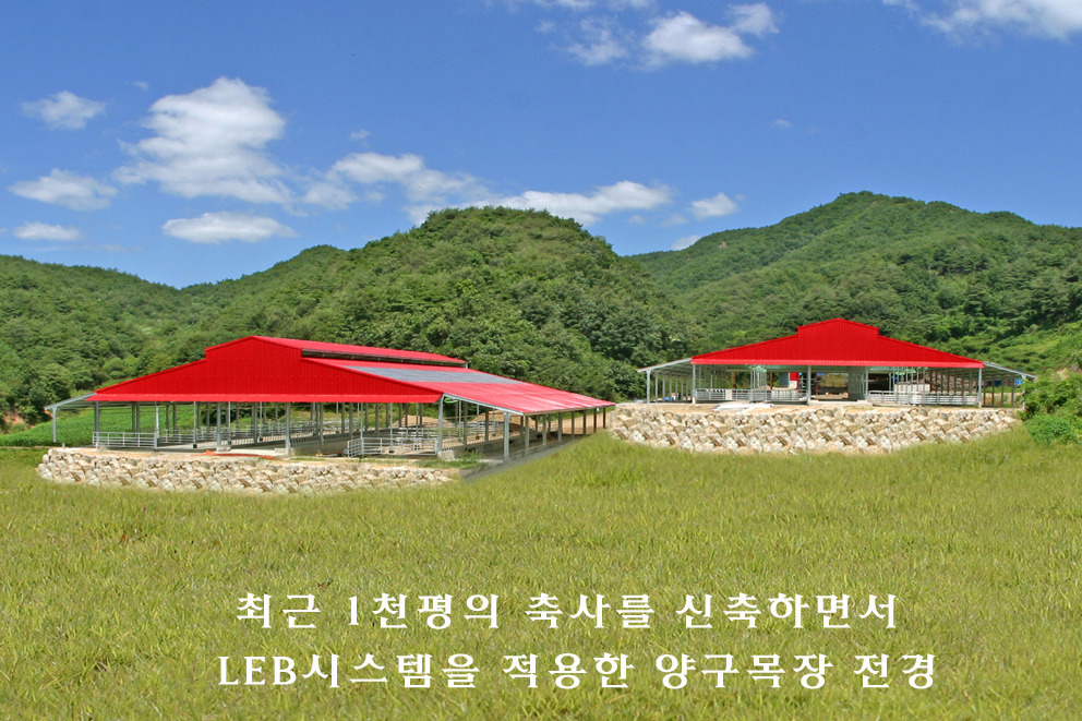 현대종합기획 이미지