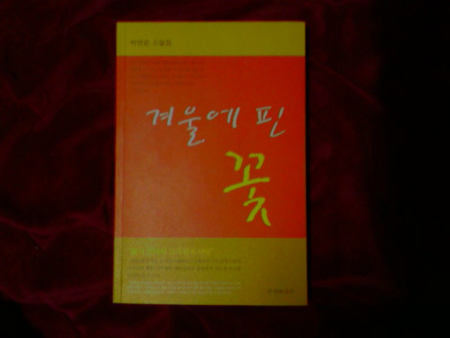 박연순 이미지